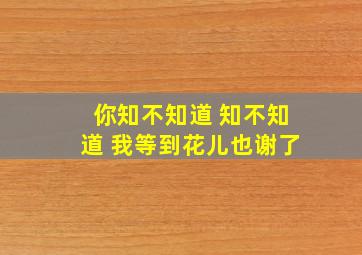 你知不知道 知不知道 我等到花儿也谢了